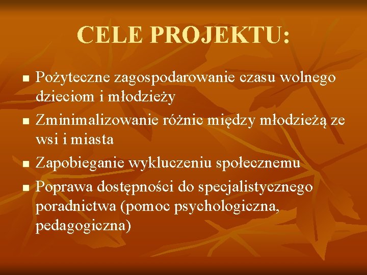 CELE PROJEKTU: n n Pożyteczne zagospodarowanie czasu wolnego dzieciom i młodzieży Zminimalizowanie różnic między