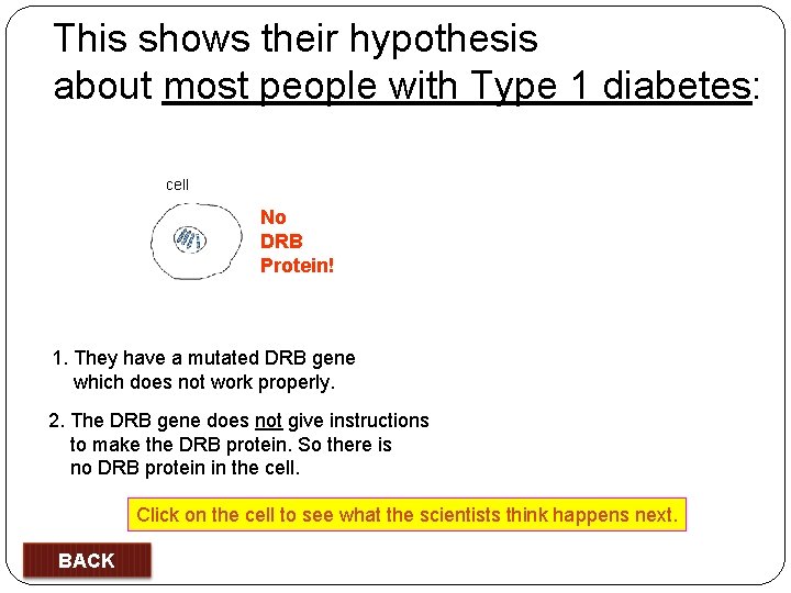 This shows their hypothesis about most people with Type 1 diabetes: cell No DRB