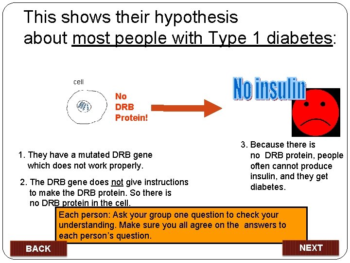 This shows their hypothesis about most people with Type 1 diabetes: cell No DRB