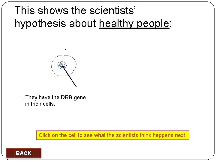 This shows the scientists’ hypothesis about healthy people: cell 1. They have the DRB