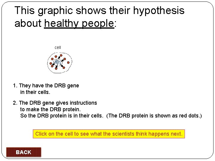 This graphic shows their hypothesis about healthy people: cell 1. They have the DRB
