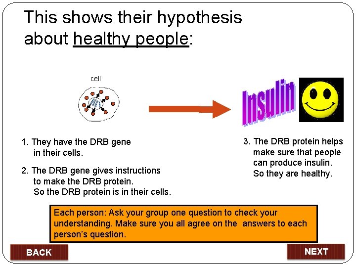 This shows their hypothesis about healthy people: cell 1. They have the DRB gene