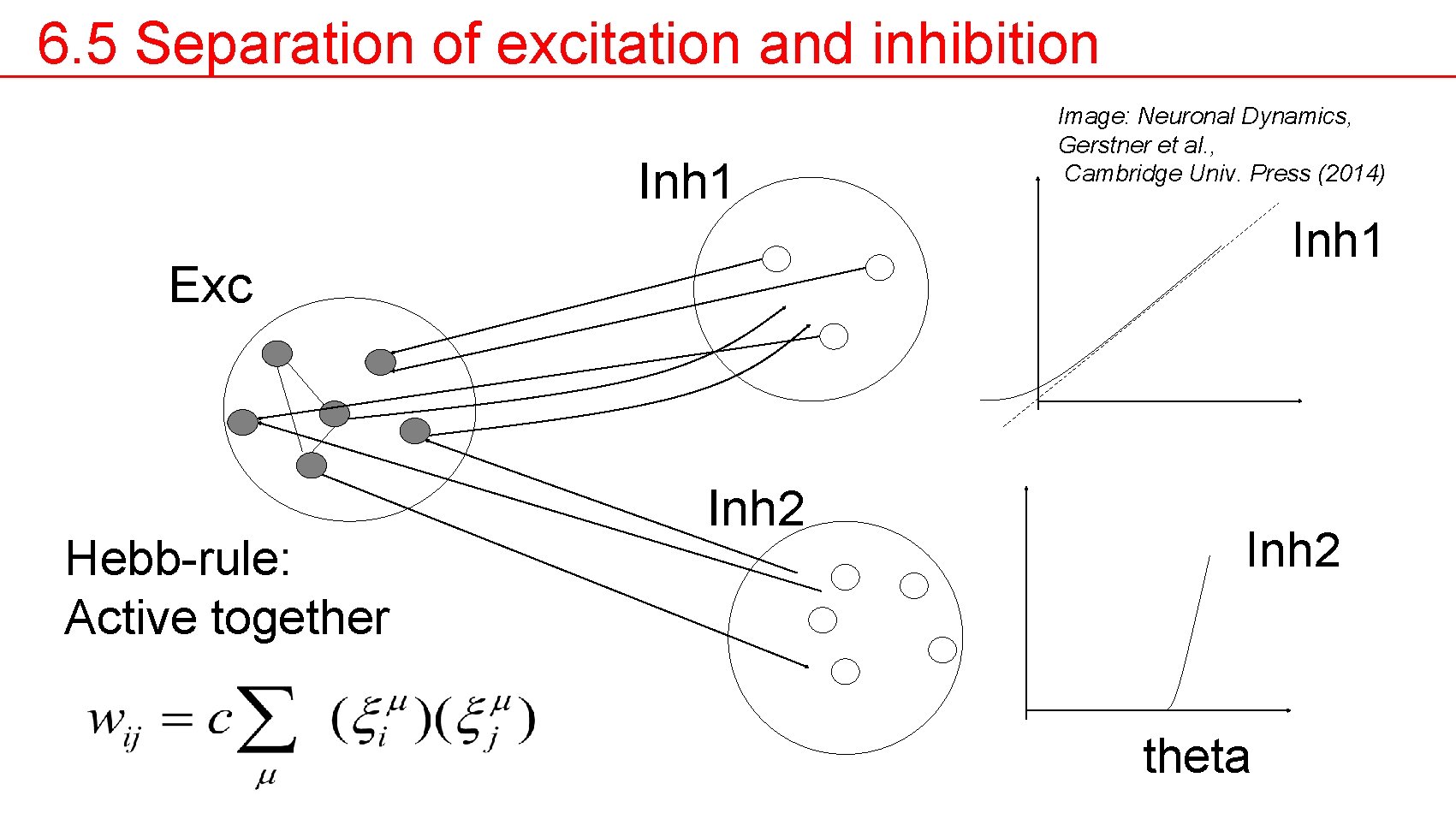 6. 5 Separation of excitation and inhibition Inh 1 Image: Neuronal Dynamics, Gerstner et