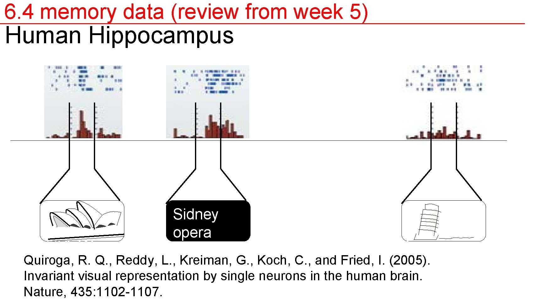 6. 4 memory data (review from week 5) Human Hippocampus Sidney opera Quiroga, R.