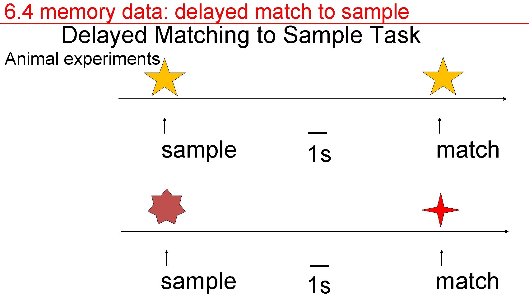 6. 4 memory data: delayed match to sample Delayed Matching to Sample Task Animal