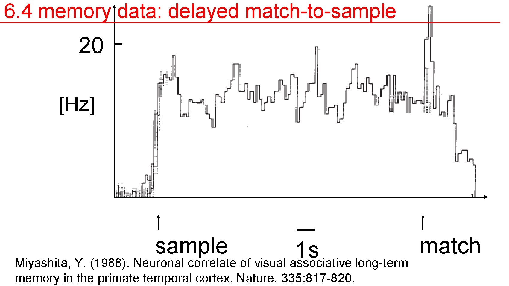 6. 4 memory data: delayed match-to-sample 20 [Hz] sample 1 s Miyashita, Y. (1988).