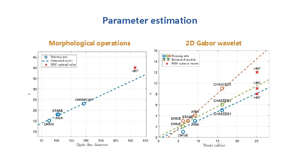 Parameter estimation Morphological operations 2 D Gabor wavelet 