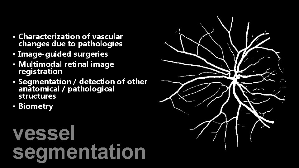  • Characterization of vascular changes due to pathologies • Image-guided surgeries • Multimodal