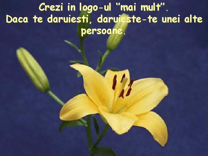 Crezi in logo-ul ‘’mai mult’’. Daca te daruiesti, daruieste-te unei alte persoane. 