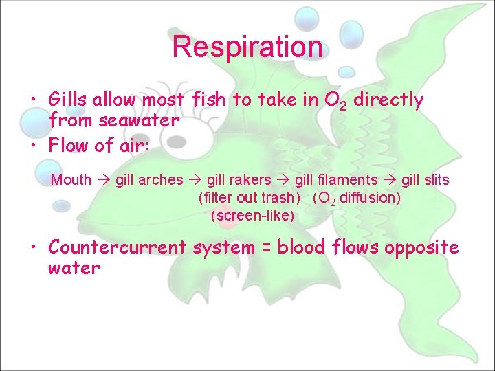 Respiration • Gills allow most fish to take in O 2 directly from seawater