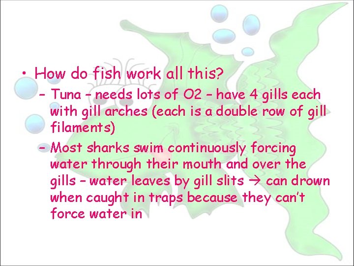  • How do fish work all this? – Tuna – needs lots of