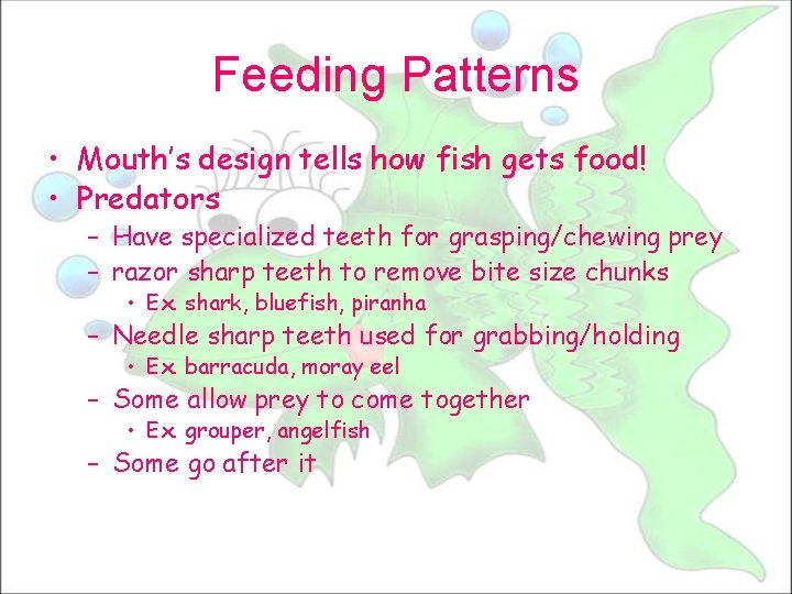 Feeding Patterns • Mouth’s design tells how fish gets food! • Predators – Have