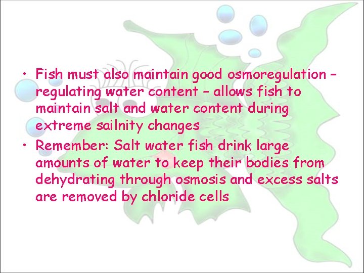  • Fish must also maintain good osmoregulation – regulating water content – allows