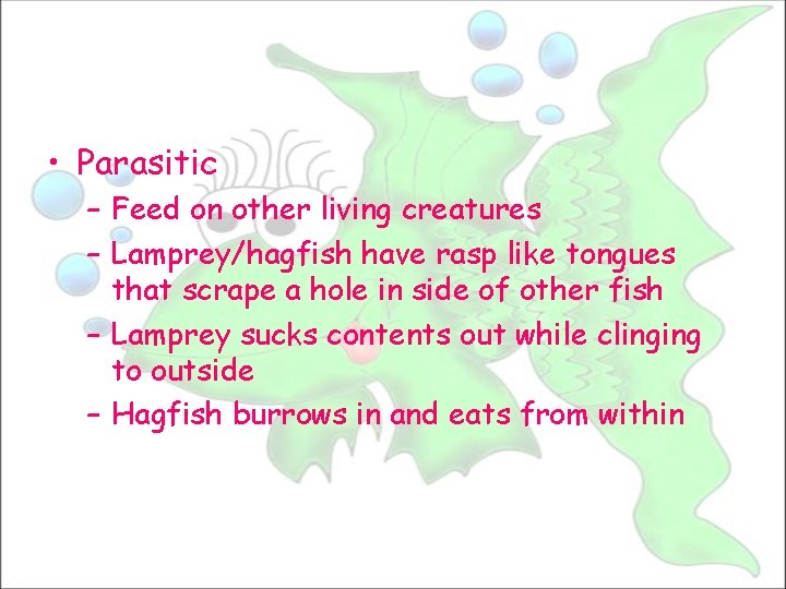  • Parasitic – Feed on other living creatures – Lamprey/hagfish have rasp like