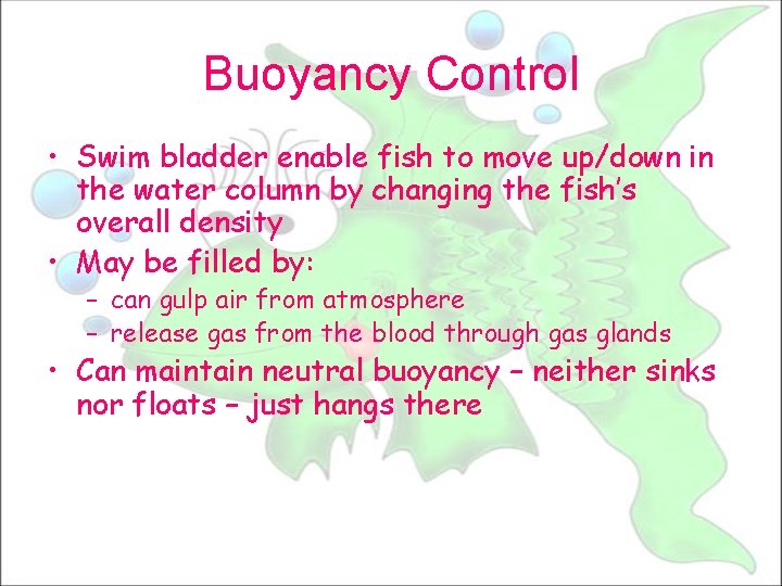 Buoyancy Control • Swim bladder enable fish to move up/down in the water column