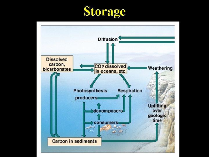 Storage Storage