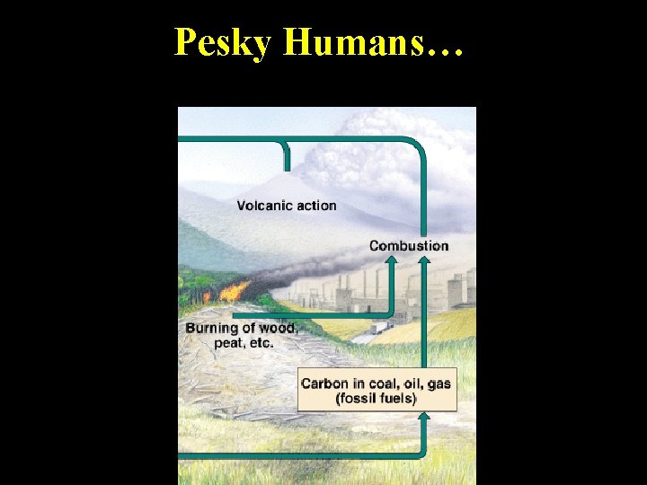 Pesky Humans… 