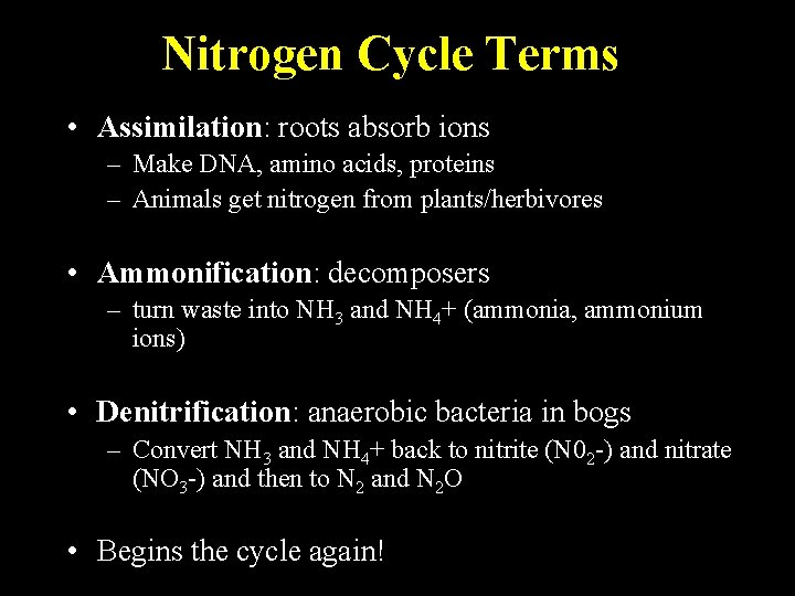 Nitrogen Cycle Terms • Assimilation: roots absorb ions – Make DNA, amino acids, proteins