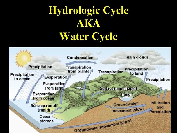Hydrologic Cycle AKA Water Cycle 