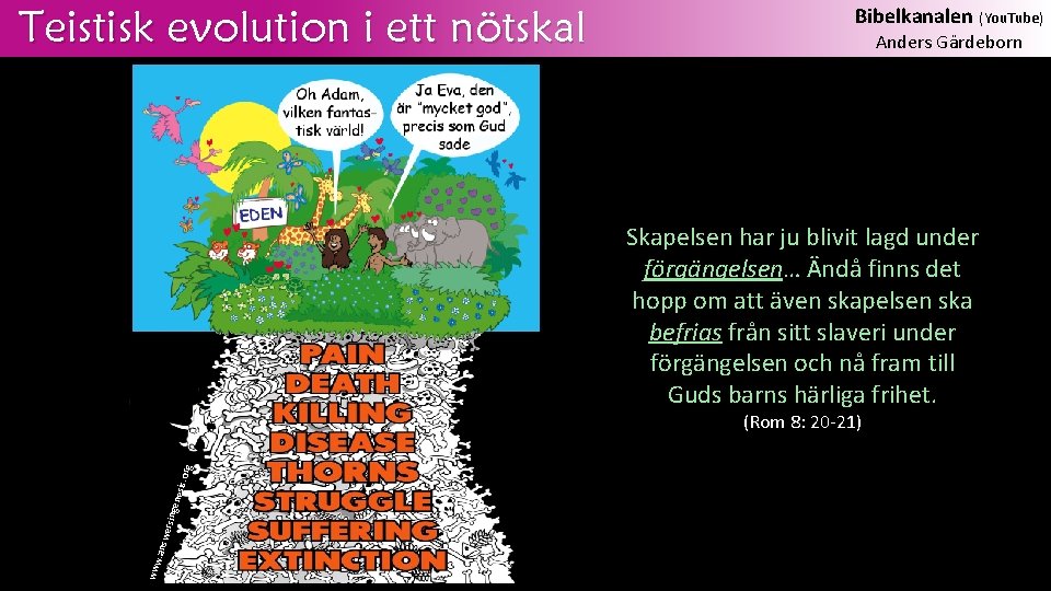 Teistisk evolution i ett nötskal Bibelkanalen (You. Tube) Anders Gärdeborn Skapelsen har ju blivit