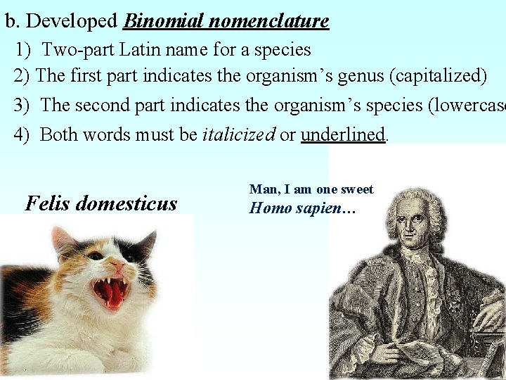 b. Developed Binomial nomenclature 1) Two-part Latin name for a species 2) The first