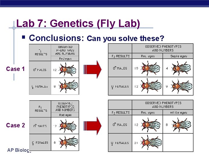 Lab 7: Genetics (Fly Lab) § Conclusions: Can you solve these? Case 1 Case