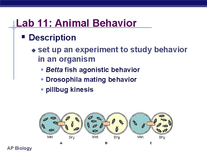 Lab 11: Animal Behavior § Description u set up an experiment to study behavior