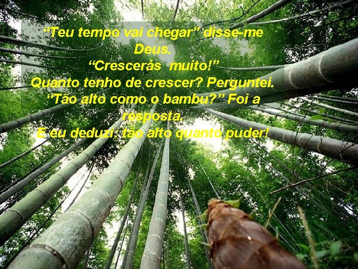 “Teu tempo vai chegar” disse-me Deus. “Crescerás muito!” Quanto tenho de crescer? Perguntei. “Tão