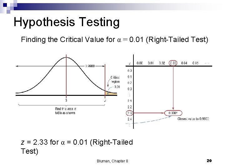 Hypothesis Testing Finding the Critical Value for α = 0. 01 (Right-Tailed Test) z