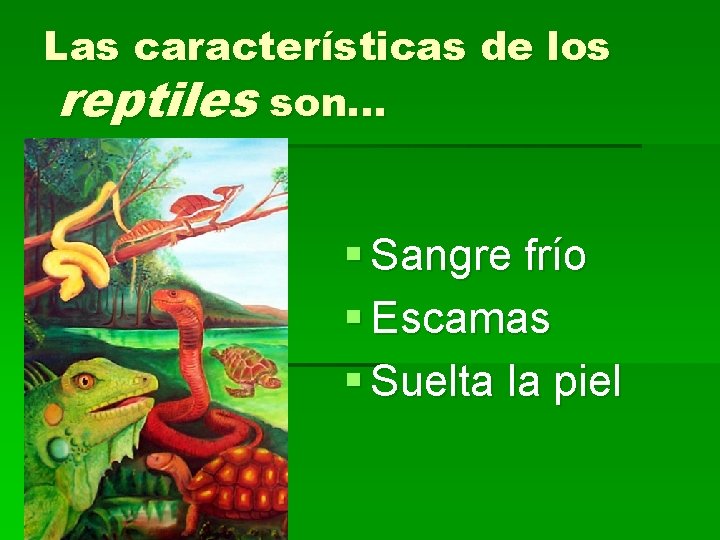Las características de los reptiles son. . . § Sangre frío § Escamas §