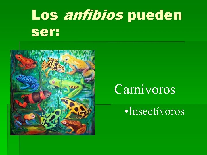 Los anfibios pueden ser: Carnívoros • Insectívoros 