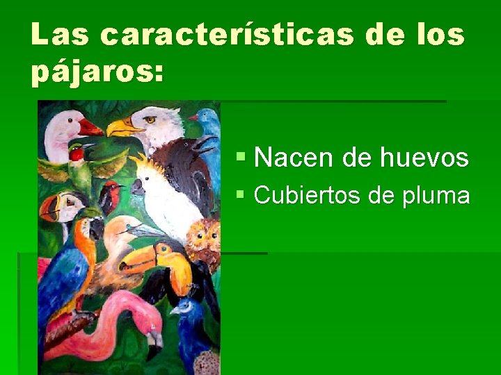 Las características de los pájaros: § Nacen de huevos § Cubiertos de pluma 