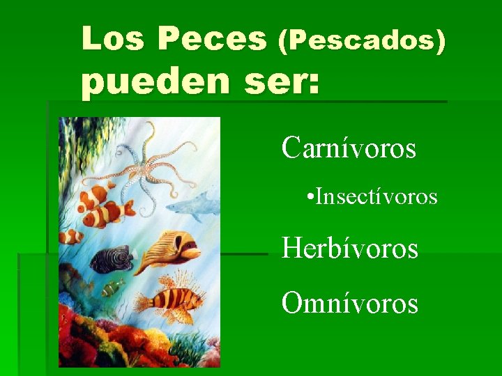 Los Peces (Pescados) pueden ser: Carnívoros • Insectívoros Herbívoros Omnívoros 