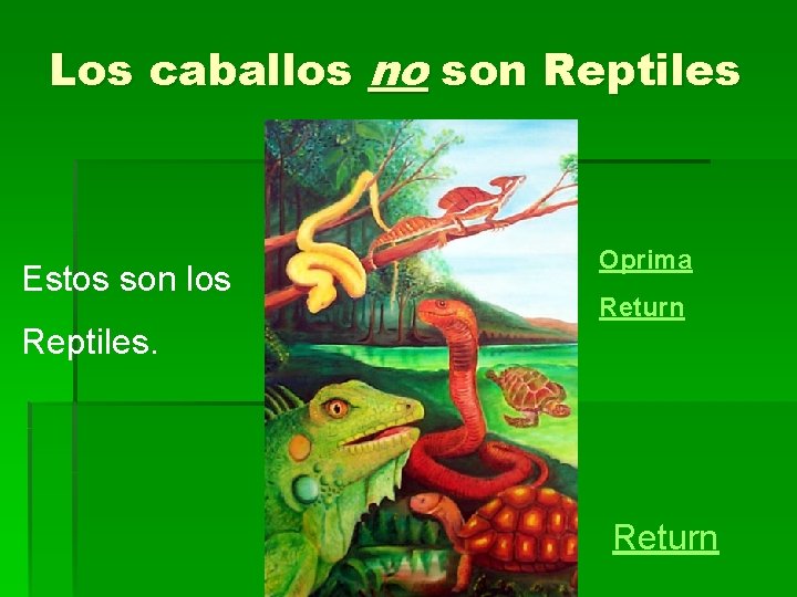Los caballos no son Reptiles Estos son los Oprima Return Reptiles. Return 