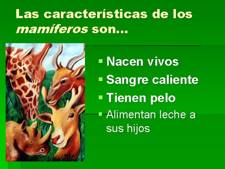 Las características de los mamíferos son. . . § Nacen vivos § Sangre caliente