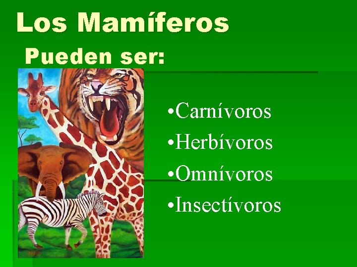 Los Mamíferos Pueden ser: • Carnívoros • Herbívoros • Omnívoros • Insectívoros 