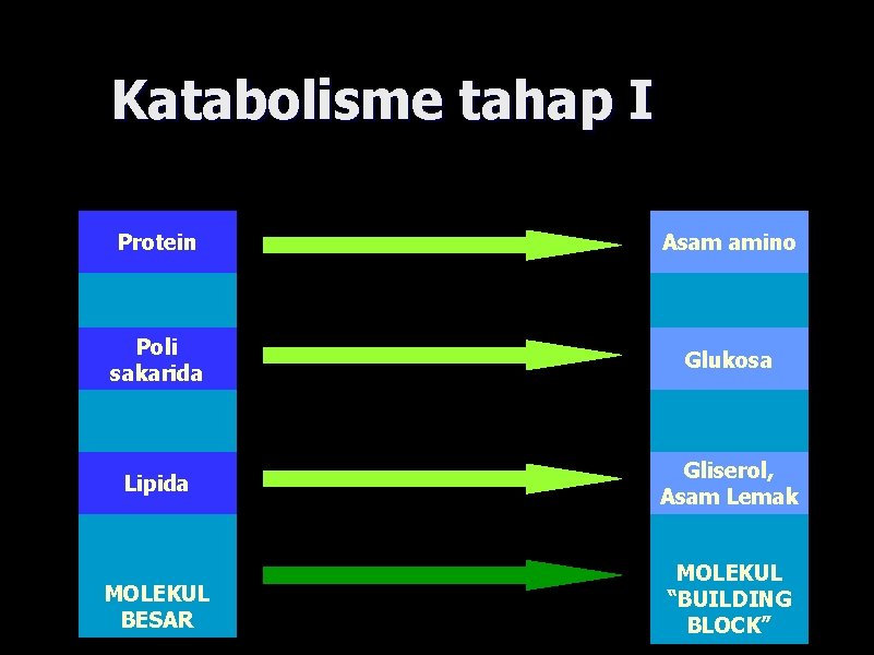 Katabolisme tahap I Protein Asam amino Poli sakarida Glukosa Lipida Gliserol, Asam Lemak MOLEKUL