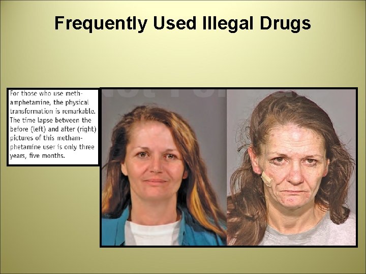 Frequently Used Illegal Drugs 