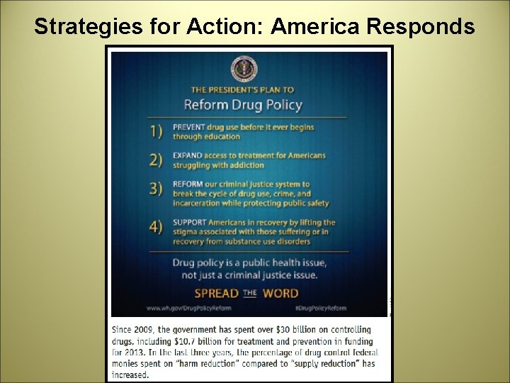 Strategies for Action: America Responds 