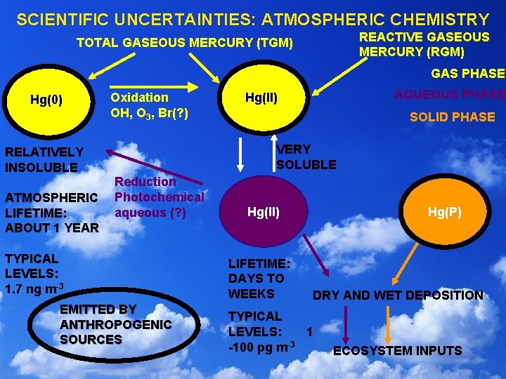 SCIENTIFIC UNCERTAINTIES: ATMOSPHERIC CHEMISTRY REACTIVE GASEOUS MERCURY (RGM) TOTAL GASEOUS MERCURY (TGM) GAS PHASE