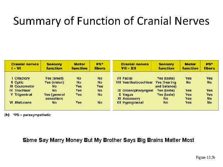 Summary of Function of Cranial Nerves Some Say Marry Money But My Brother Says