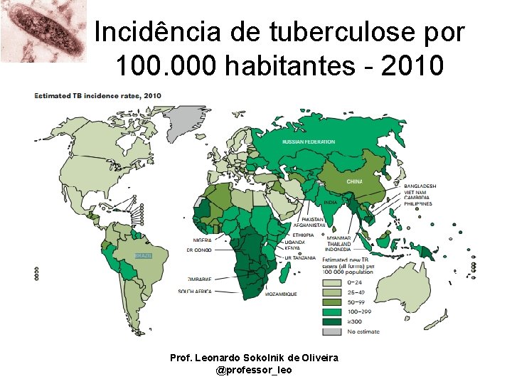 Incidência de tuberculose por 100. 000 habitantes - 2010 Prof. Leonardo Sokolnik de Oliveira