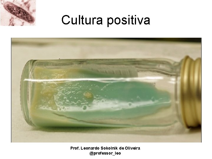 Cultura positiva Prof. Leonardo Sokolnik de Oliveira @professor_leo 