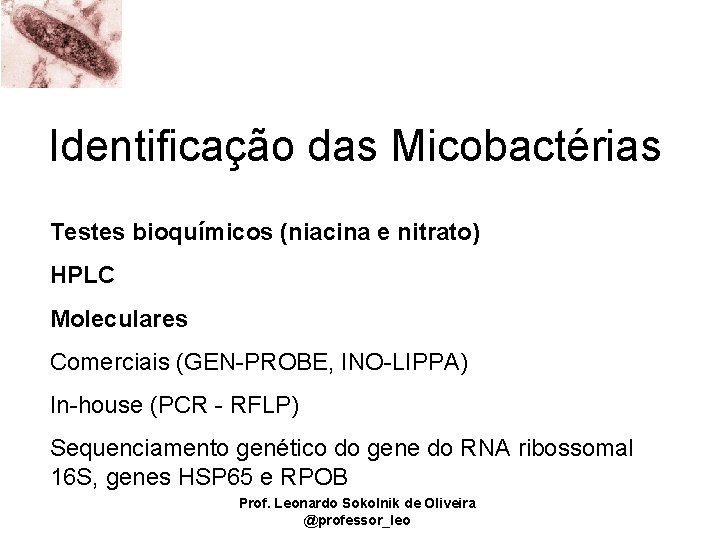 Identificação das Micobactérias Testes bioquímicos (niacina e nitrato) HPLC Moleculares Comerciais (GEN-PROBE, INO-LIPPA) In-house