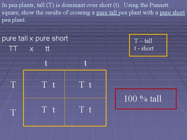 In pea plants, tall (T) is dominant over short (t). Using the Punnett square,