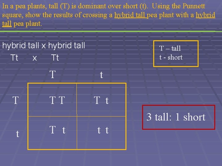 In a pea plants, tall (T) is dominant over short (t). Using the Punnett