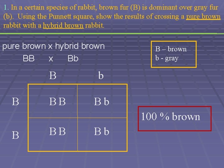 1. In a certain species of rabbit, brown fur (B) is dominant over gray