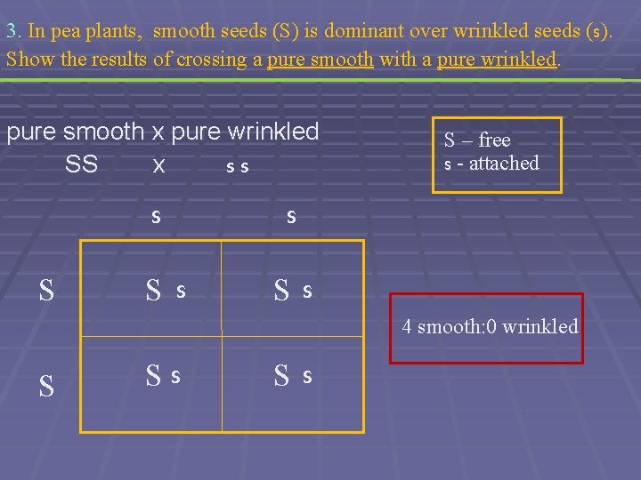 3. In pea plants, smooth seeds (S) is dominant over wrinkled seeds (s). Show