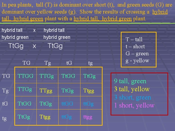 In pea plants, tall (T) is dominant over short (t), and green seeds (G)