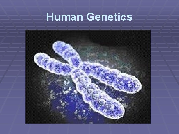 Human Genetics 